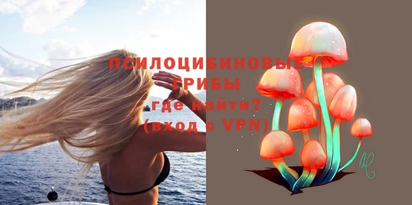 стаф Магадан