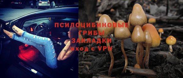 дурь Майский