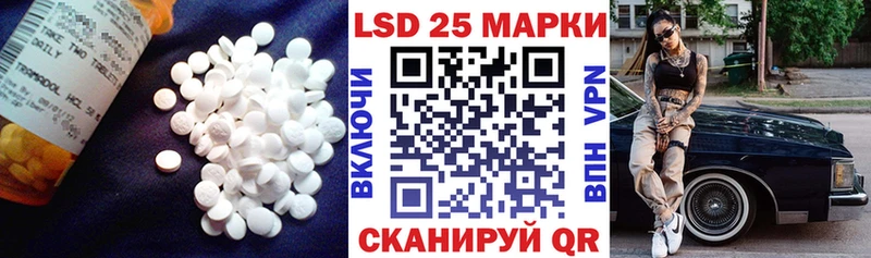 Лсд 25 экстази ecstasy  где купить наркоту  Жуков 