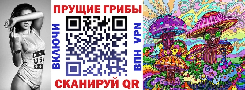 купить наркотик  Жуков  Галлюциногенные грибы Psilocybine cubensis 