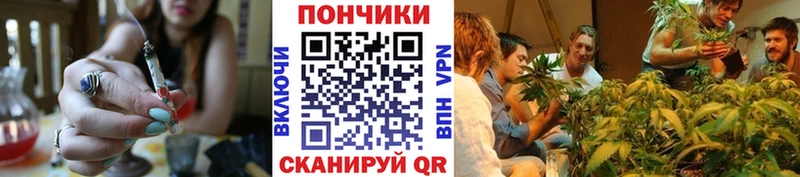 Бошки марихуана план  Жуков 