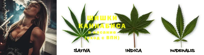 купить   ссылка на мегу   Канабис SATIVA & INDICA  Жуков 